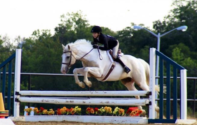 Smith Mountain Lake Horseback Riding Lesson