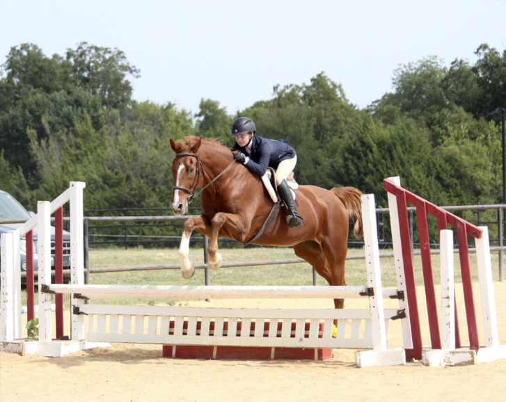 Horse Shows Merriwood Ranch Team