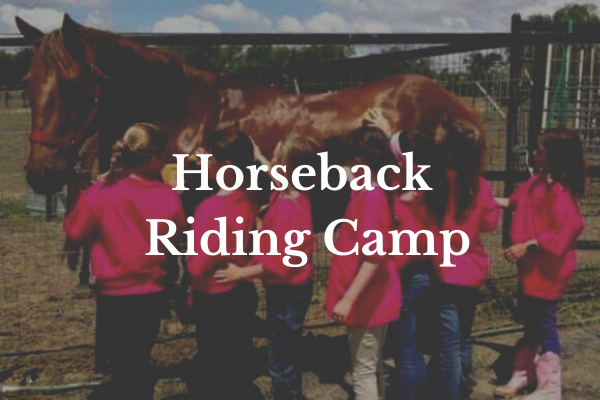 Summer Horseback Riding Camp at Merriwood Ranch